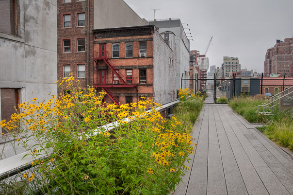 Highline 8