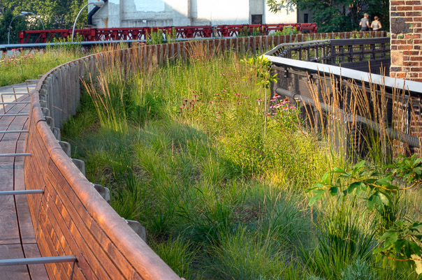 Highline Curve