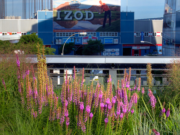 Highline Park Izod