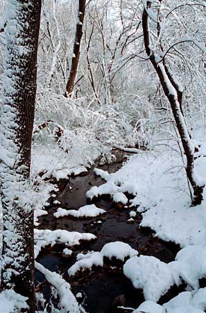After Snow