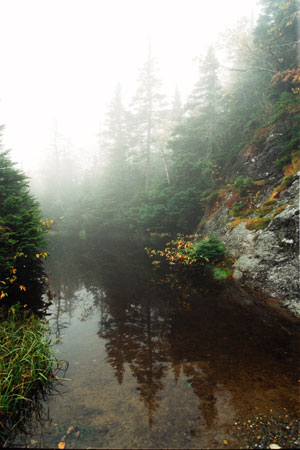 Mt. Mansfield