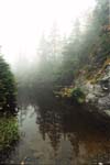 Mt. Mansfield