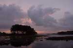 Assateague Dawn