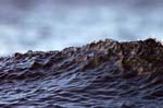 Wave