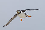 Landing